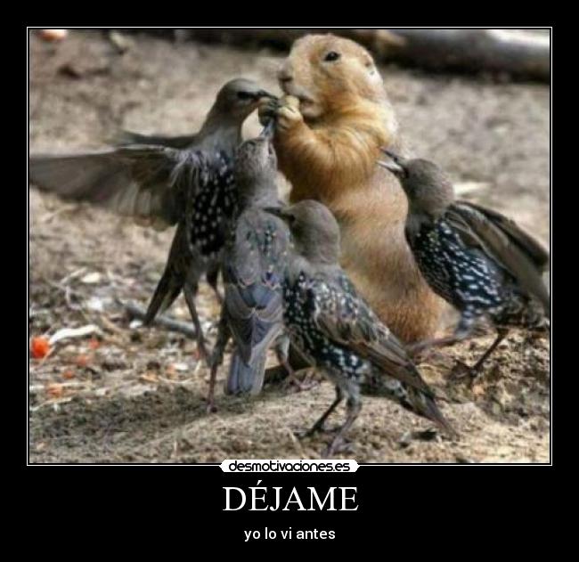 DÉJAME - yo lo vi antes