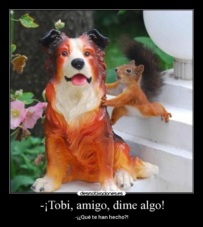 -¡Tobi, amigo, dime algo! - -¡¿Qué te han hecho?!