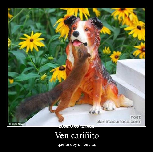 Ven cariñito - que te doy un besito.