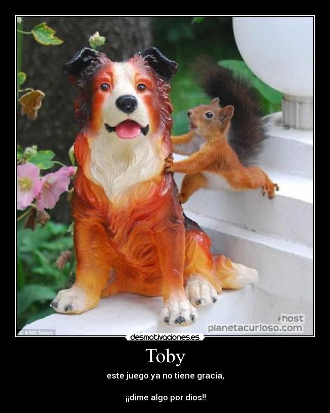 Toby - 