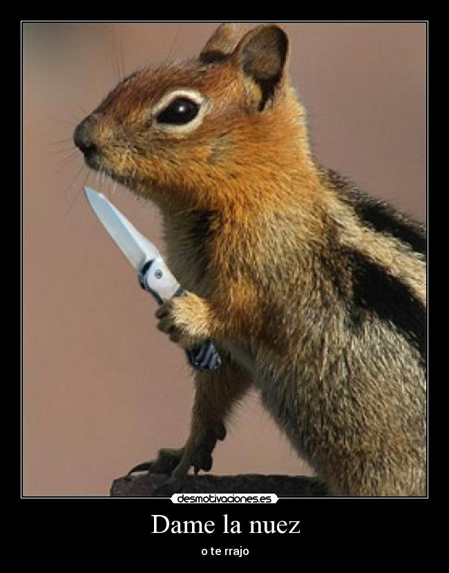 Dame la nuez - 