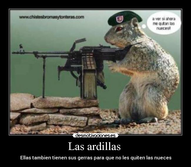 carteles las ardillas desmotivaciones