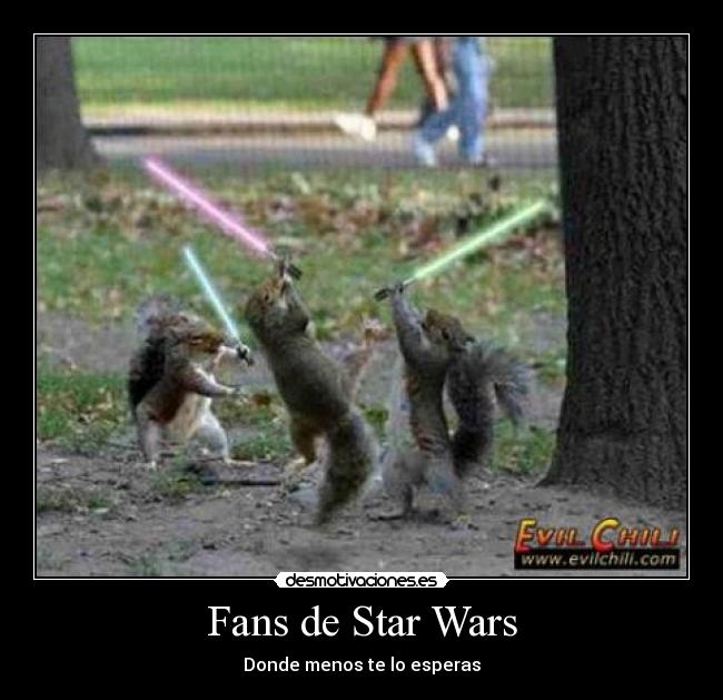 Fans de Star Wars - 