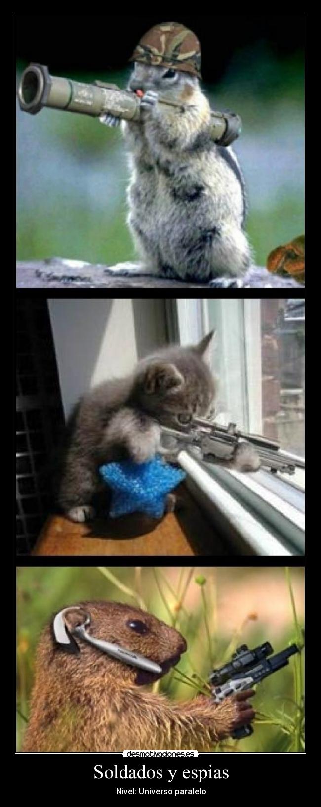 Soldados y espias - 