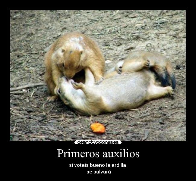 carteles realbhuo desmotivaciones