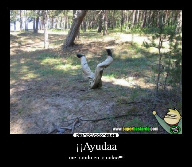 ¡¡Ayudaa - me hundo en la colaa!!!!