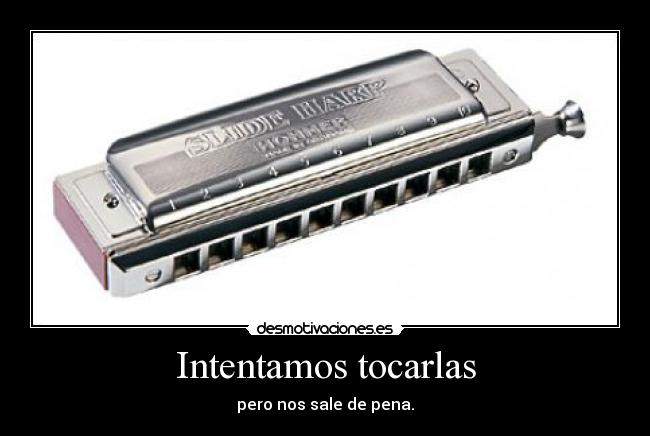 carteles gato desmotivaciones