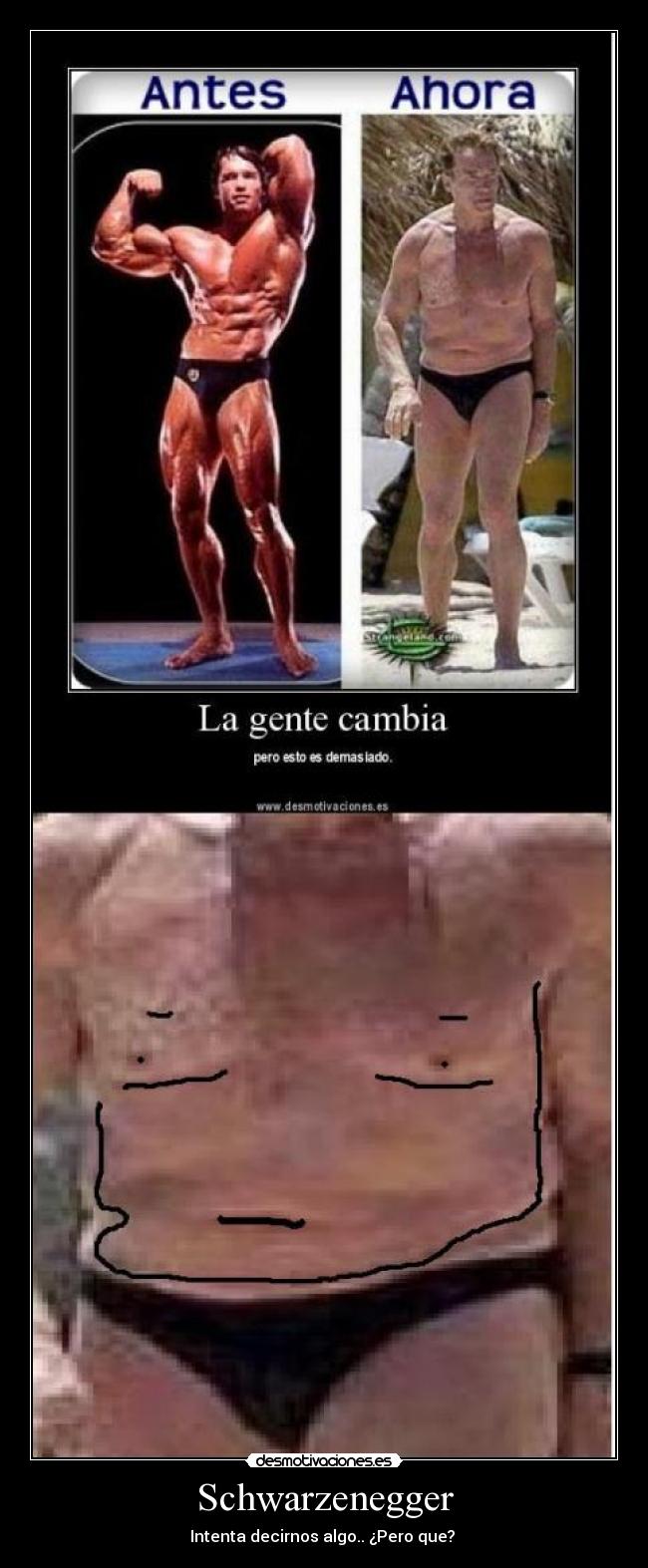 carteles schwarzenegger desmotivaciones
