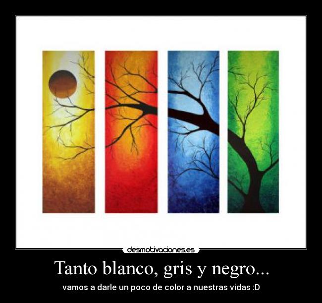 Tanto blanco, gris y negro... - 