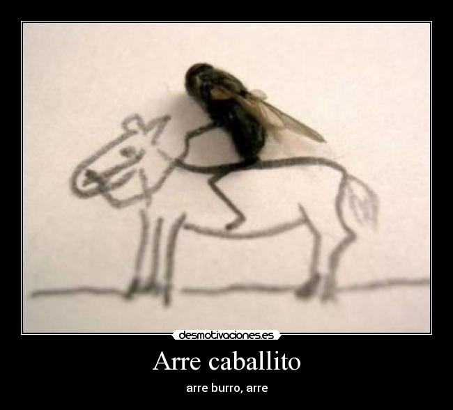 Arre caballito -