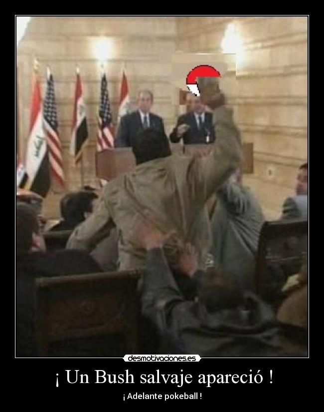 ¡ Un Bush salvaje apareció ! - ¡ Adelante pokeball !