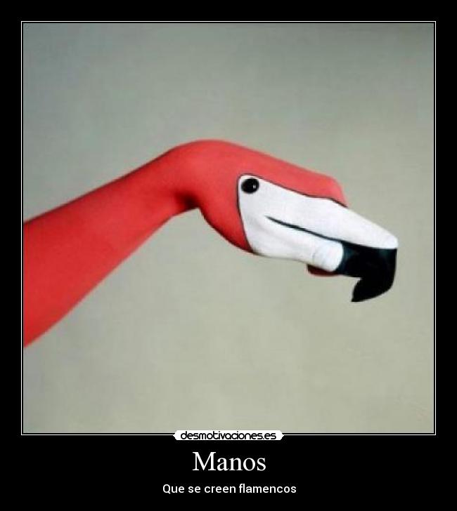 Manos - 