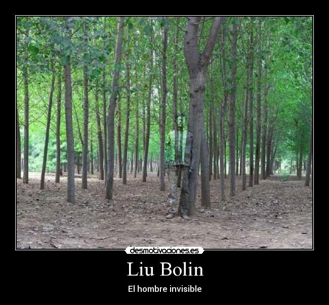 Liu Bolin - 