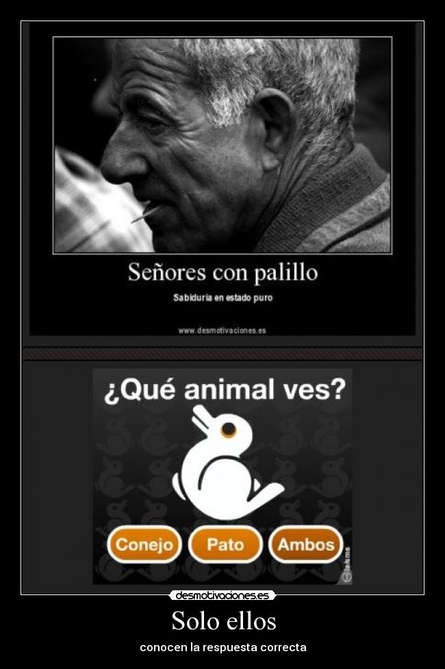 Solo ellos - conocen la respuesta correcta