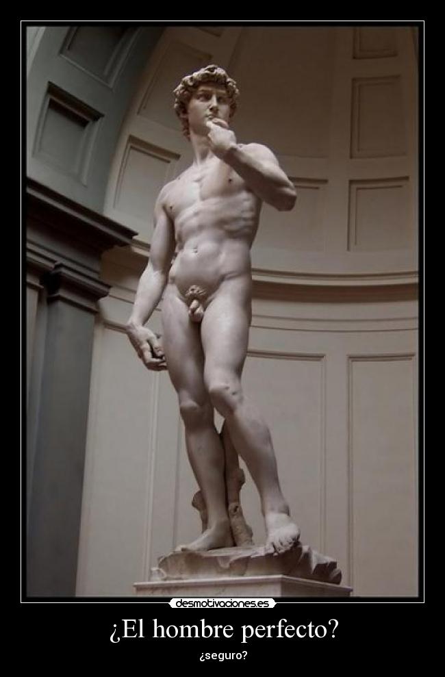 ¿El hombre perfecto? -