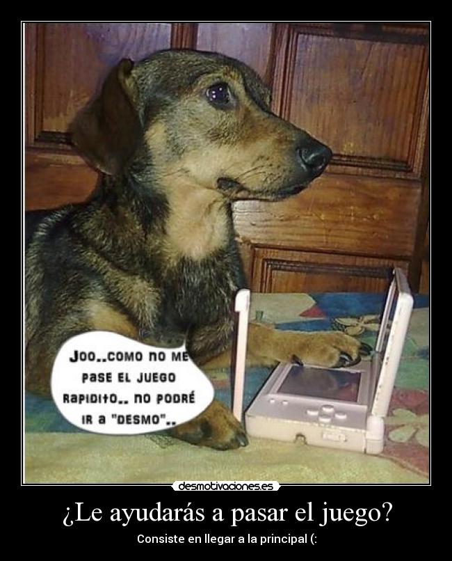 carteles perrito desmotivaciones