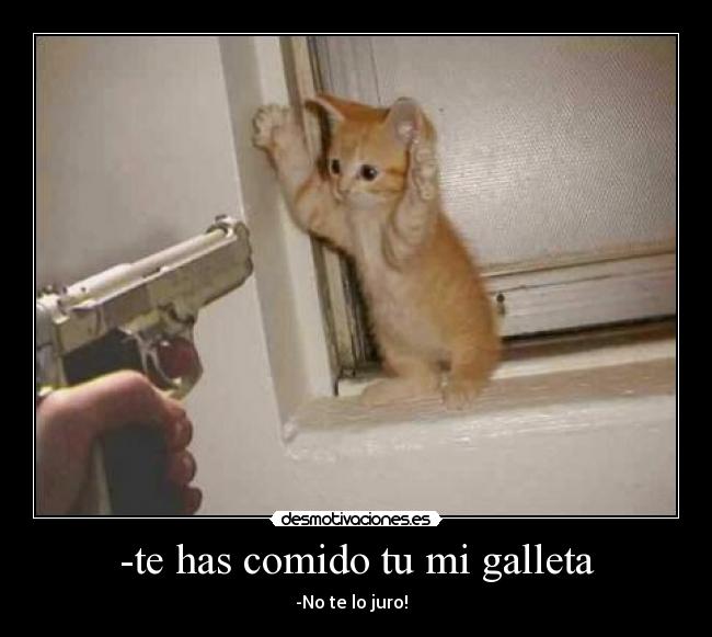 -te has comido tu mi galleta - 