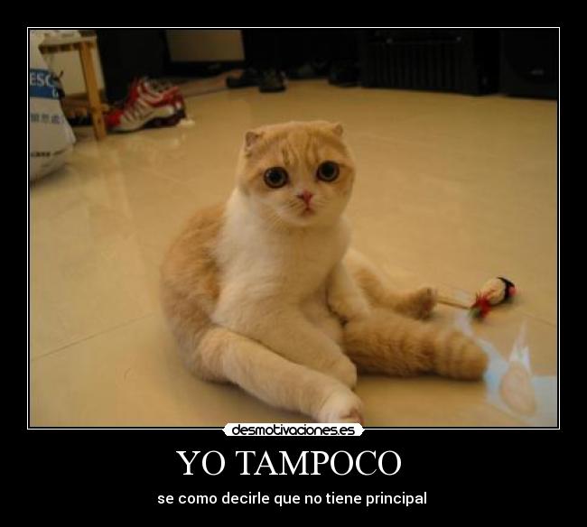 YO TAMPOCO  - se como decirle que no tiene principal 