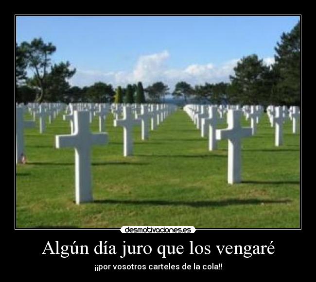 Algún día juro que los vengaré - ¡¡por vosotros carteles de la cola!!