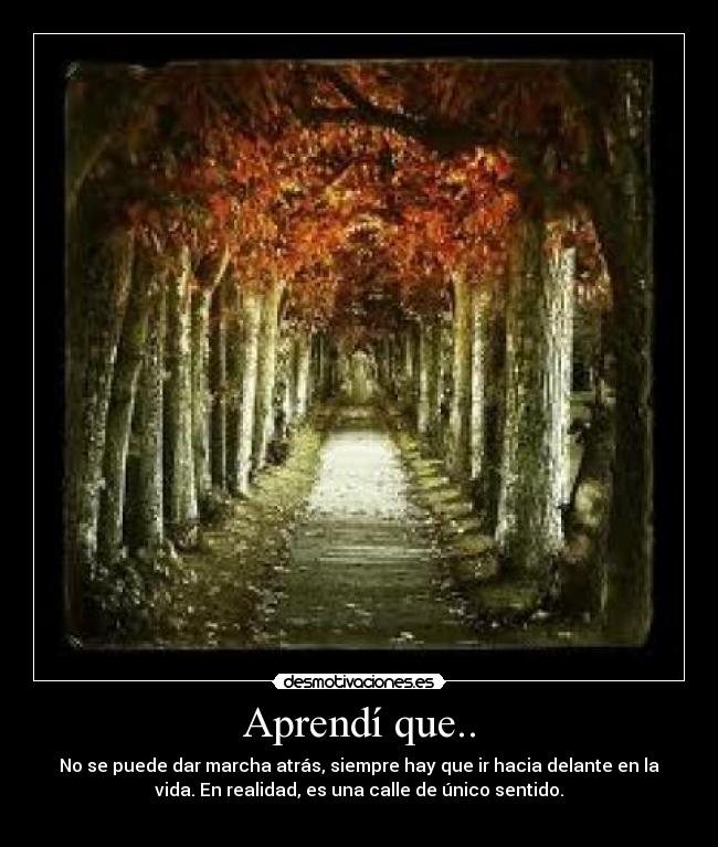 carteles vida desmotivaciones