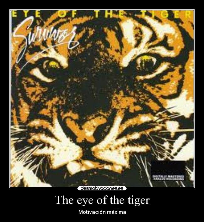 carteles the eye the tiger motivacion maxima survivor gatostetas sexo desmotivaciones