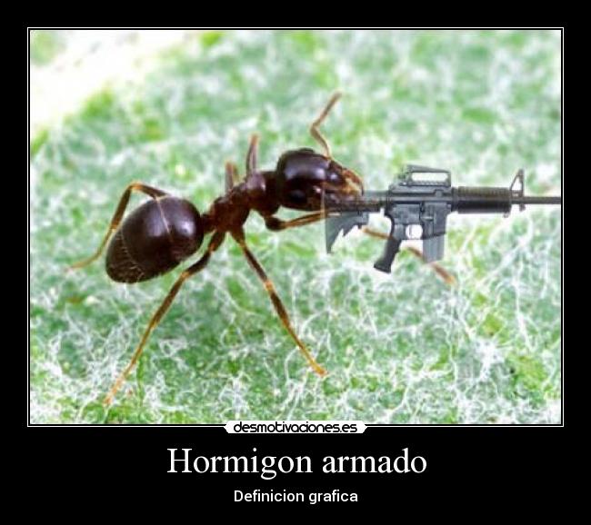 Hormigon armado -