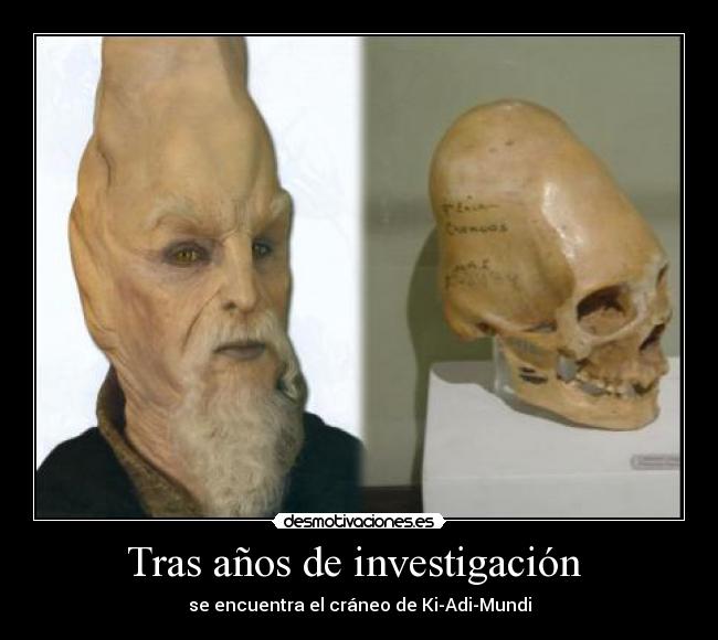 Tras años de investigación -
