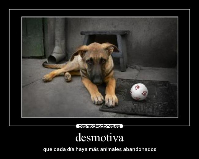 desmotiva -