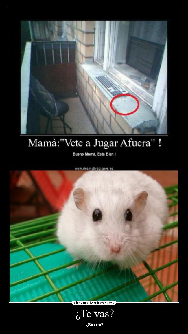 ¿Te vas? - ¿Sin mi?