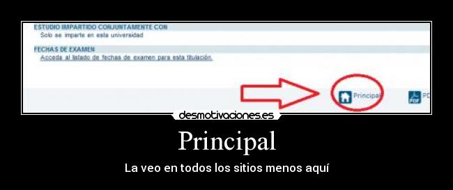 Principal - 