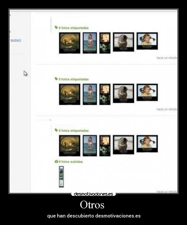 Otros  - que han descubierto desmotivaciones.es