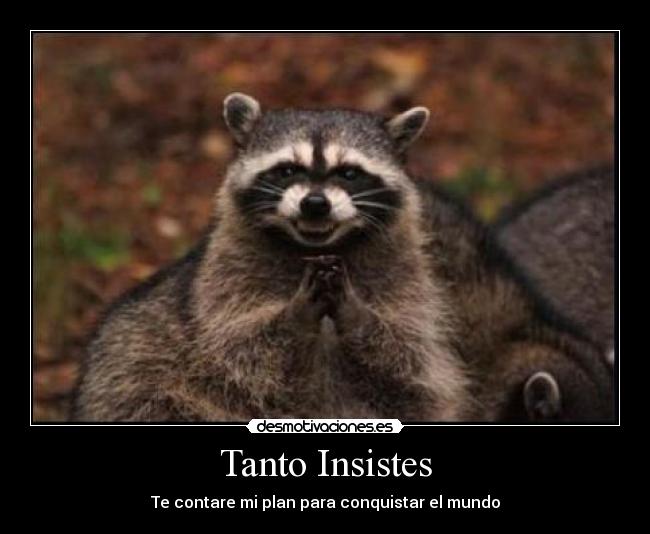 Tanto Insistes - 