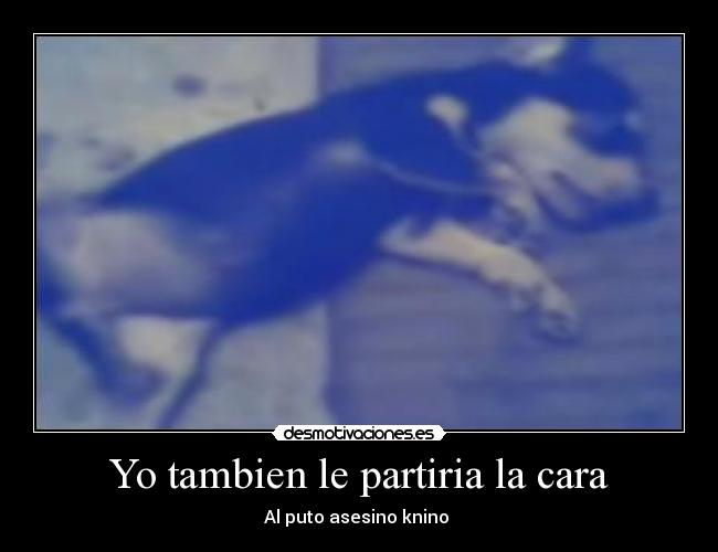 Yo tambien le partiria la cara -