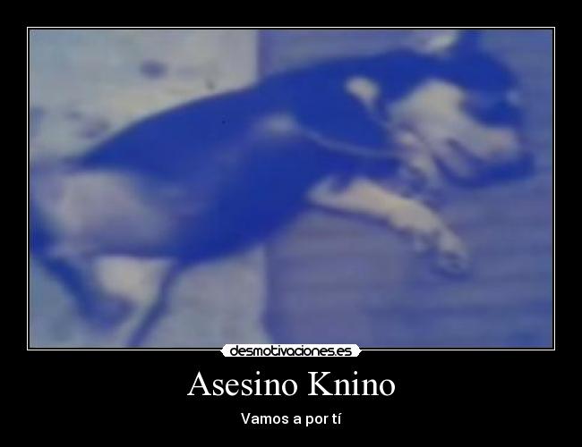 Asesino Knino - Vamos a por tí