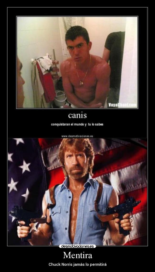 carteles mentira mentira canis chuck norris desmotivaciones