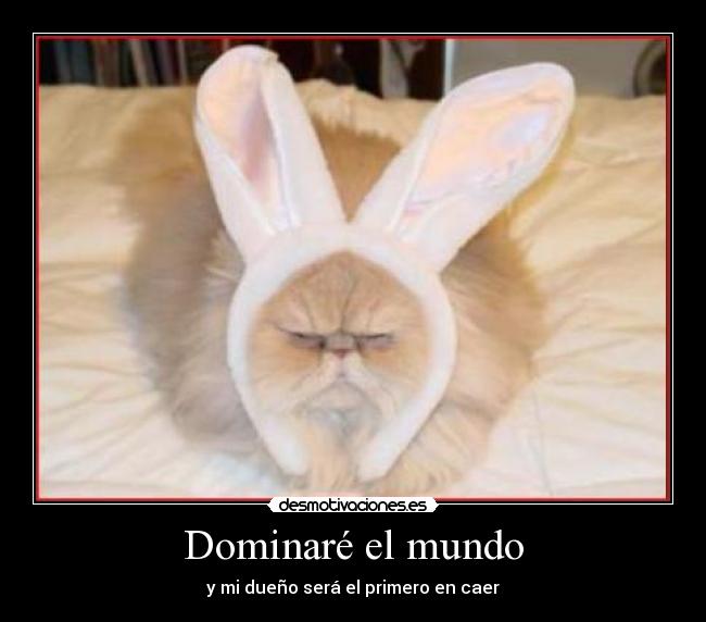 Dominaré el mundo - y mi dueño será el primero en caer