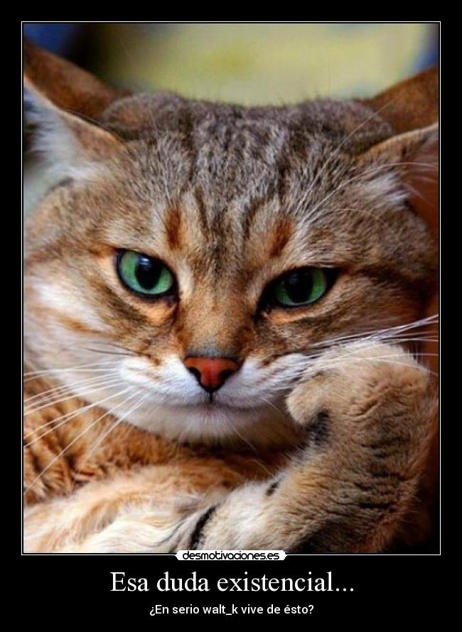 Esa duda existencial... -
