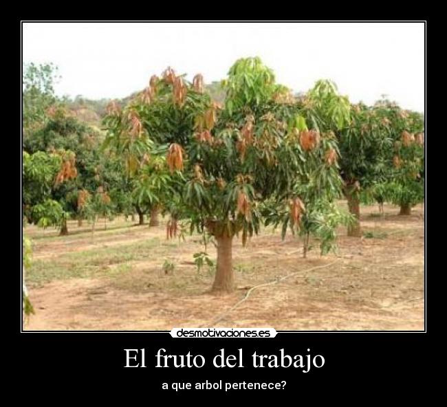 El fruto del trabajo - a que arbol pertenece?
