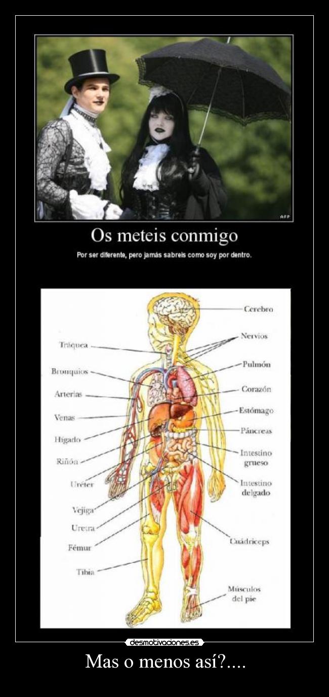 Mas o menos así?.... - 