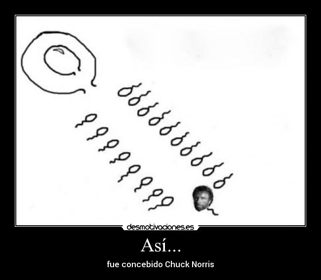 Así... - fue concebido Chuck Norris