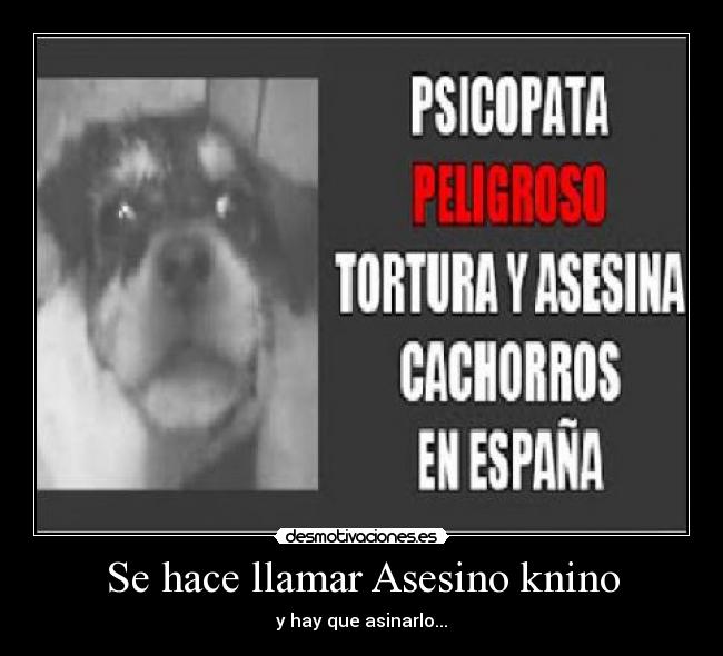 Se hace llamar Asesino knino - y hay que asinarlo...