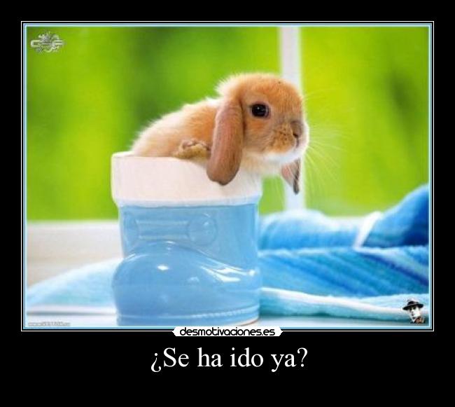 ¿Se ha ido ya? -