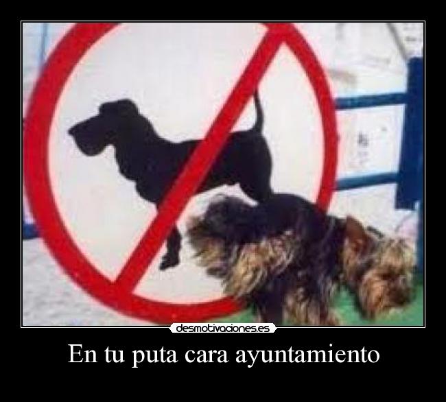 En tu puta cara ayuntamiento - 