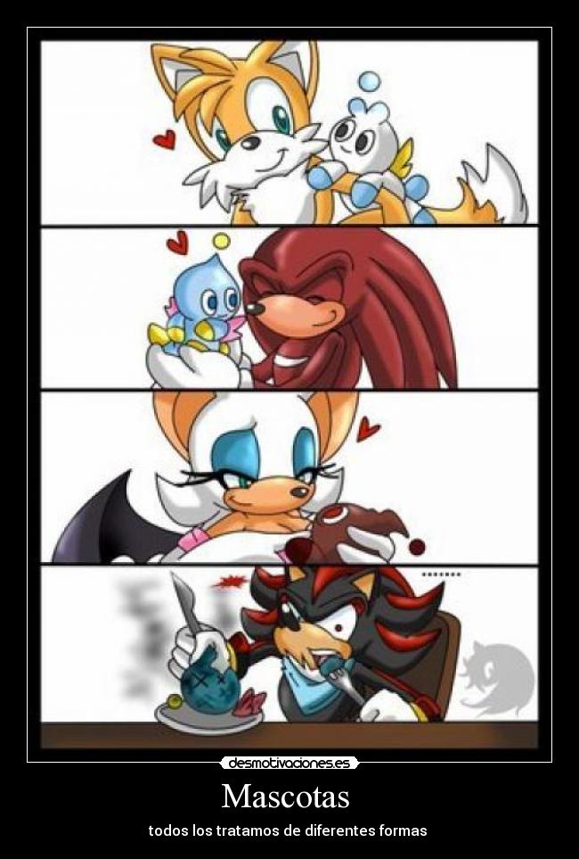 Mascotas - todos los tratamos de diferentes formas