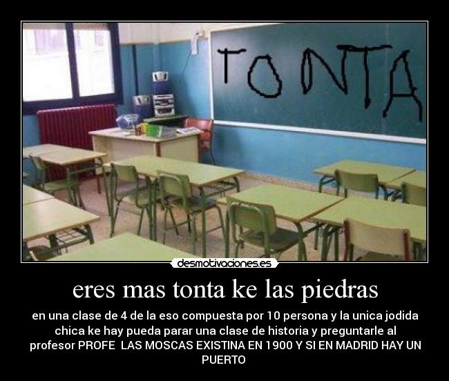 eres mas tonta ke las piedras - 
