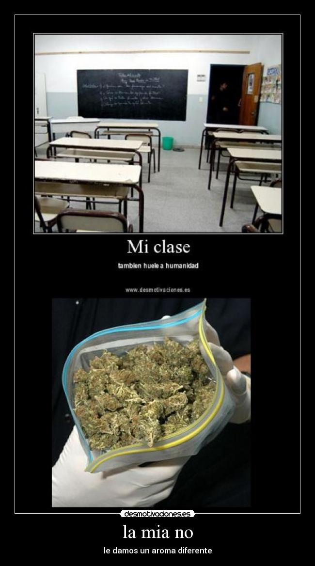 la mia no - le damos un aroma diferente