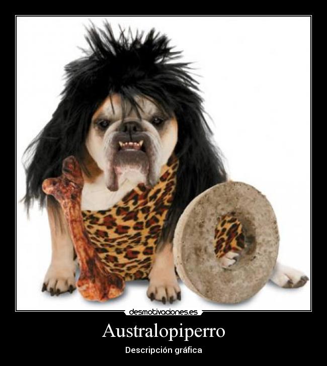 Australopiperro - 