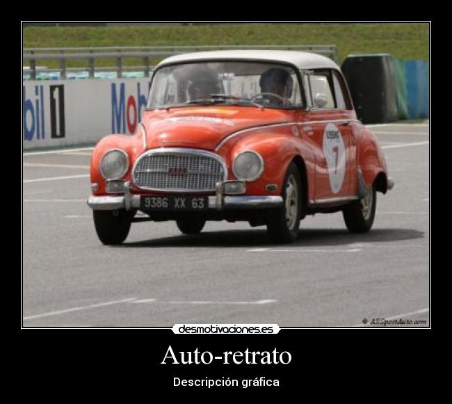 Auto-retrato - Descripción gráfica