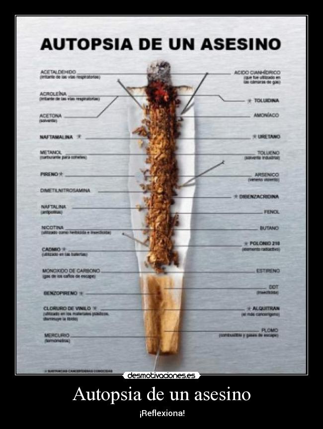 Autopsia de un asesino - ¡Reflexiona!