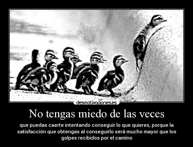 No tengas miedo de las veces - 